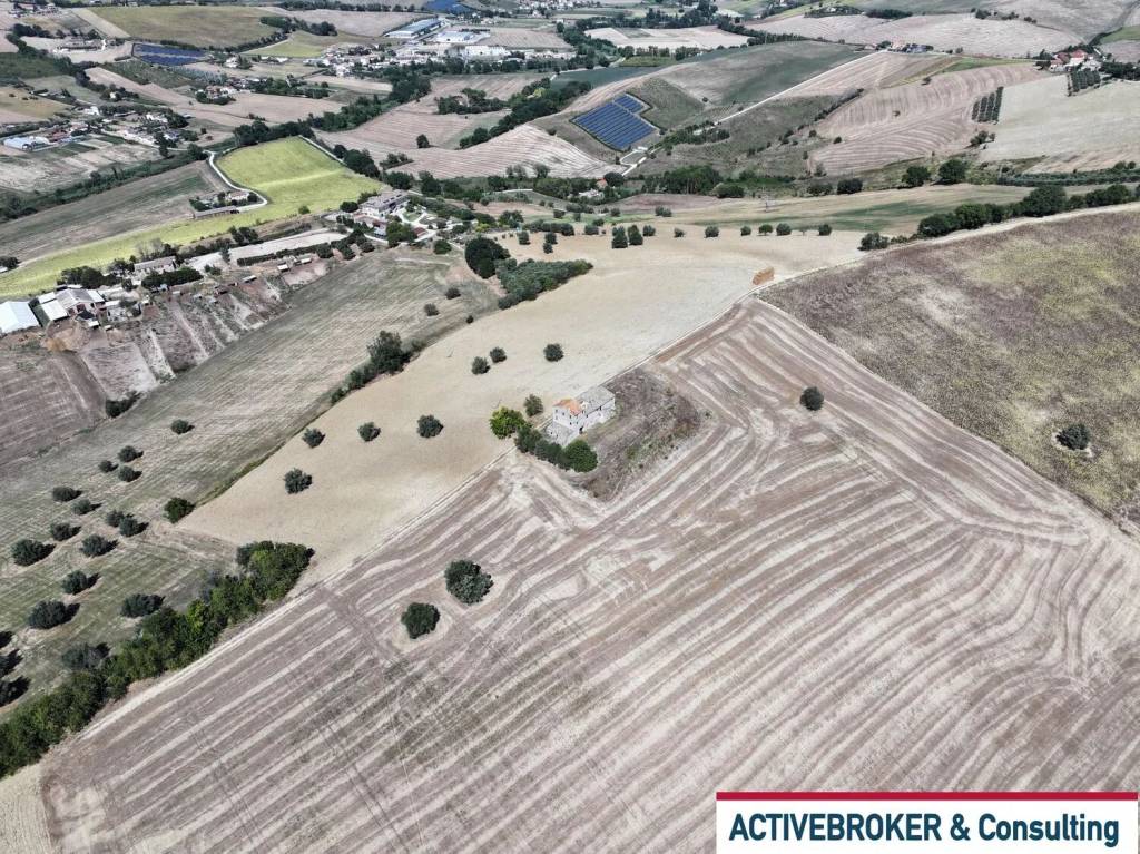 immagine annuncio 9 di 14