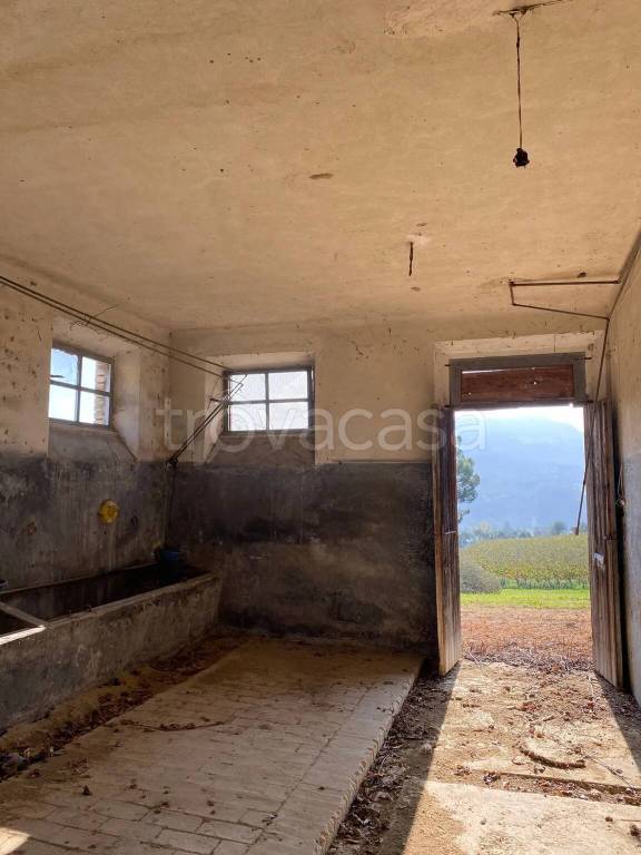 immagine annuncio 11 di 14