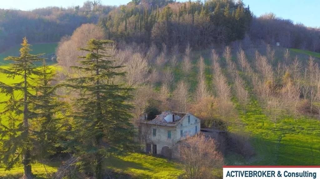 immagine annuncio 6 di 8