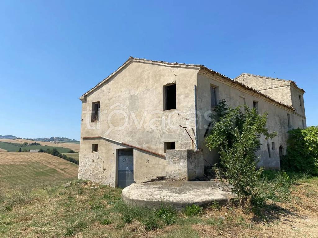 immagine annuncio 6 di 14