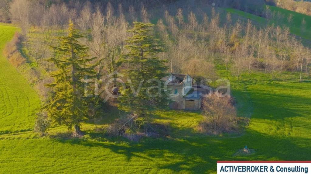 immagine annuncio 4 di 8