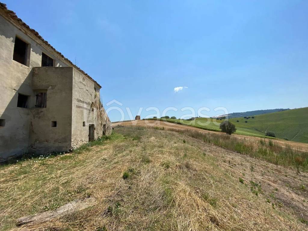 immagine annuncio 3 di 14