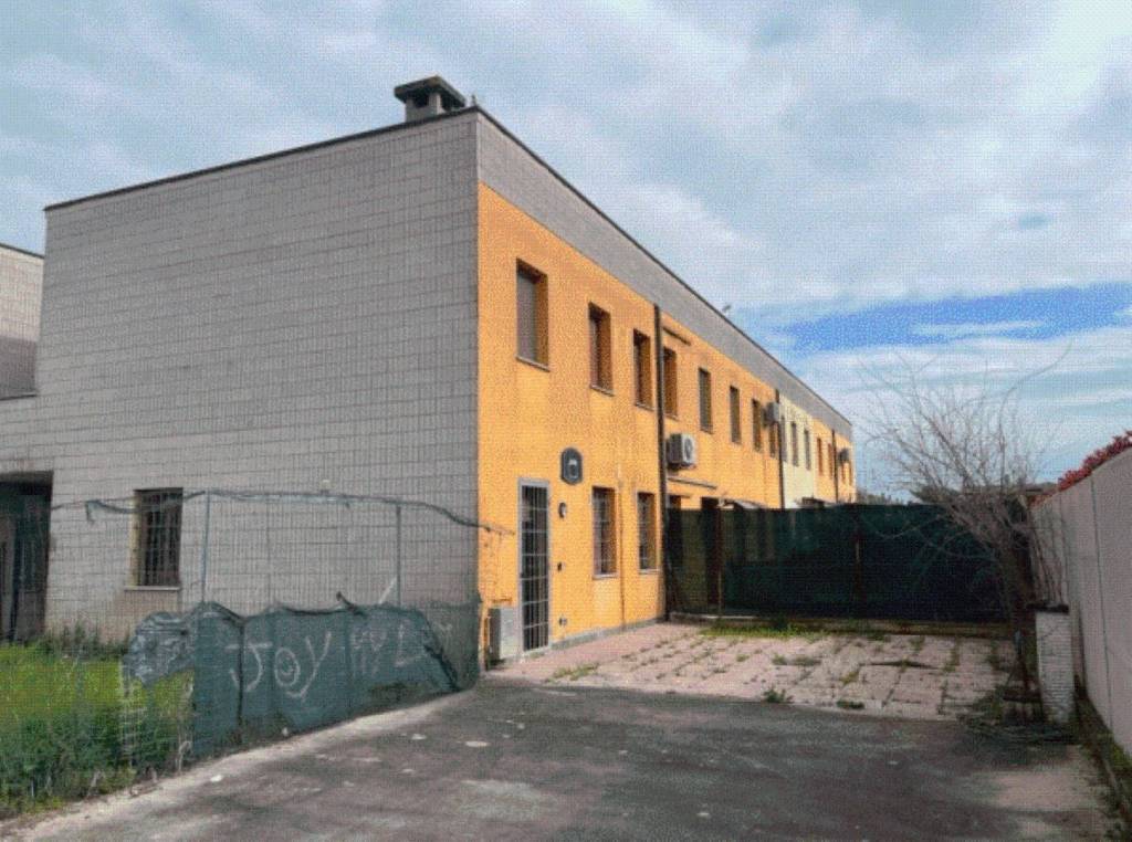 immagine annuncio 6 di 13