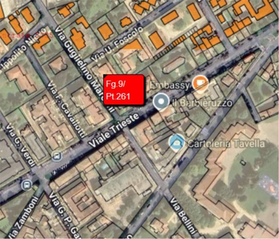 immagine annuncio 11 di 14