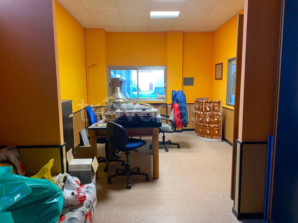 immagine annuncio 13 di 15