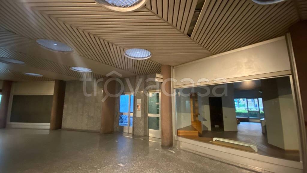 immagine annuncio 10 di 12