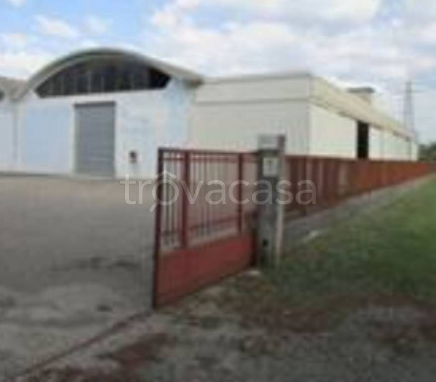 immagine annuncio 4 di 13