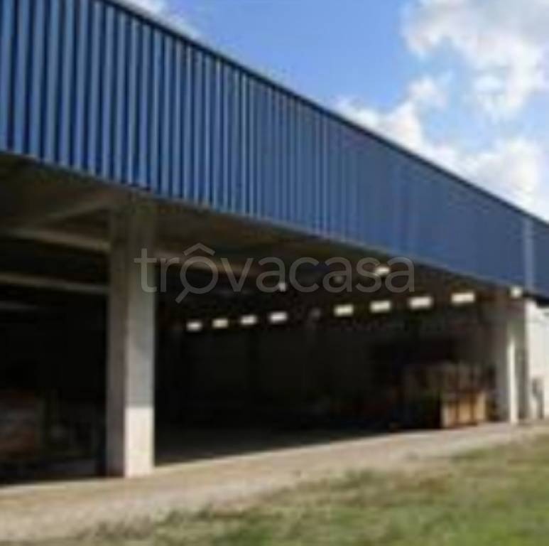 immagine annuncio 6 di 13