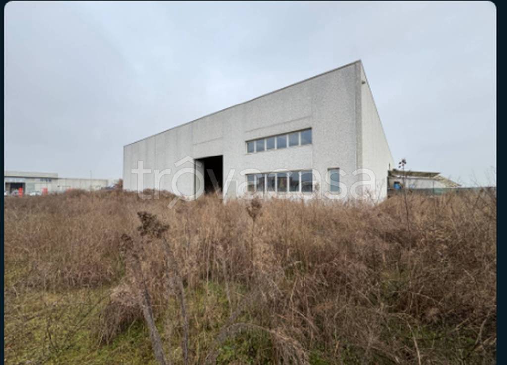 immagine annuncio 1 di 11