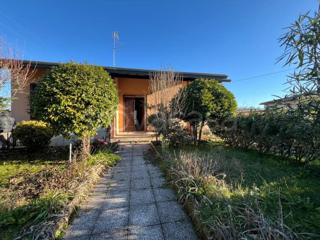 immagine annuncio 1 di 15