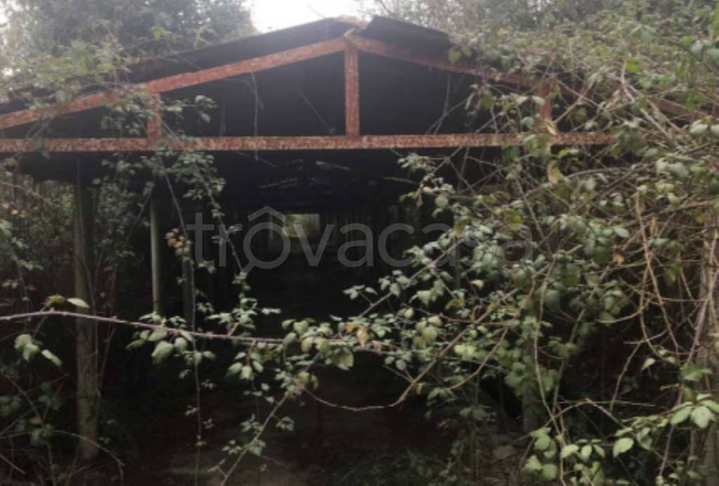 immagine annuncio 4 di 11