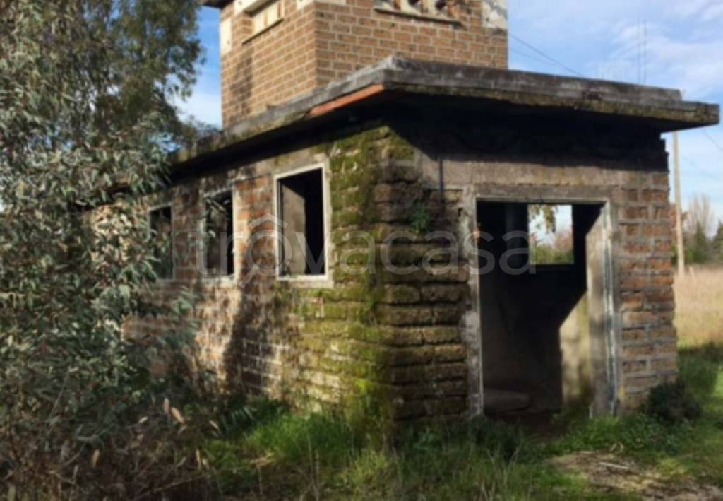 immagine annuncio 5 di 11