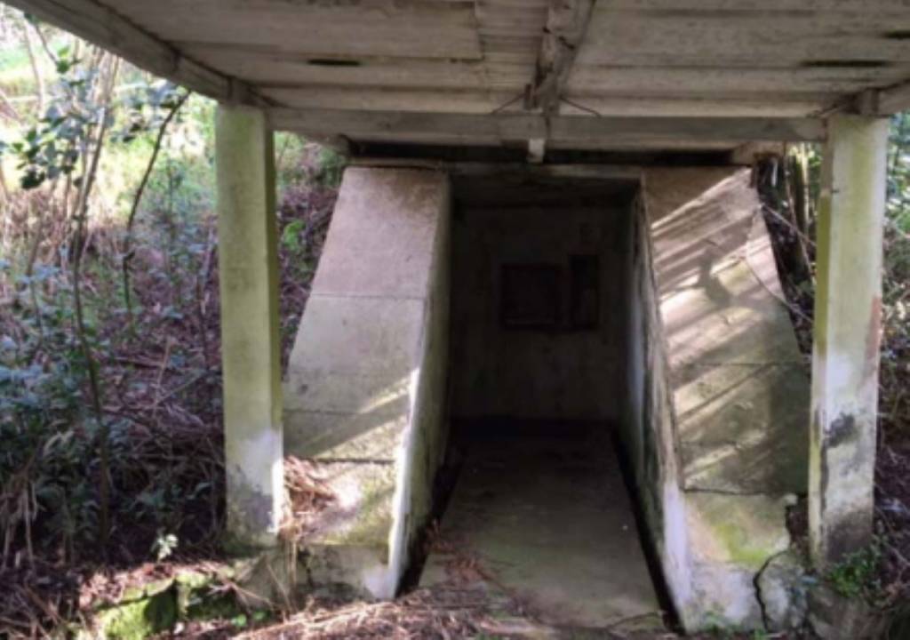 immagine annuncio 6 di 11