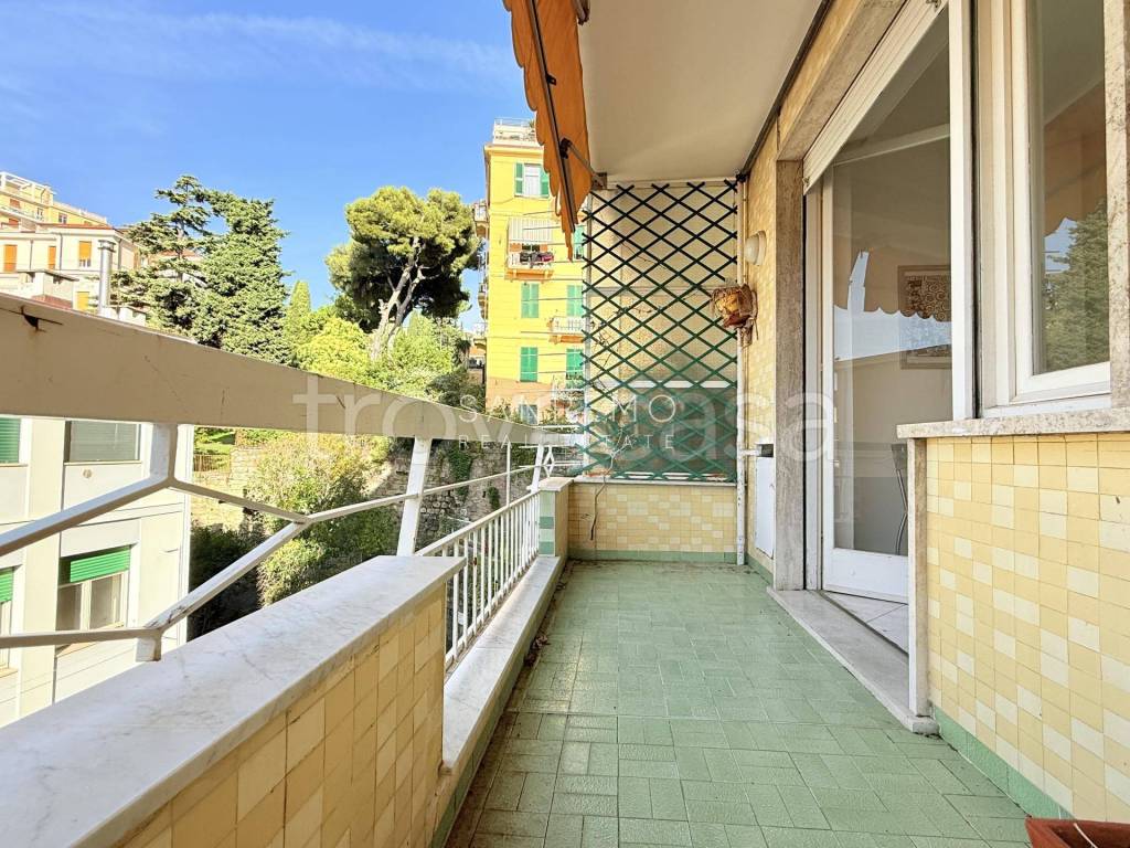 immagine annuncio 6 di 14