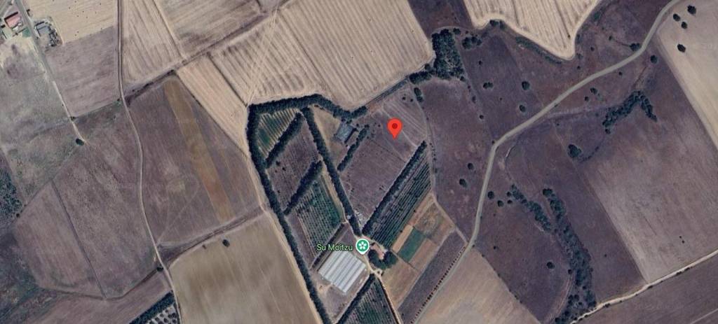 immagine annuncio 11 di 12