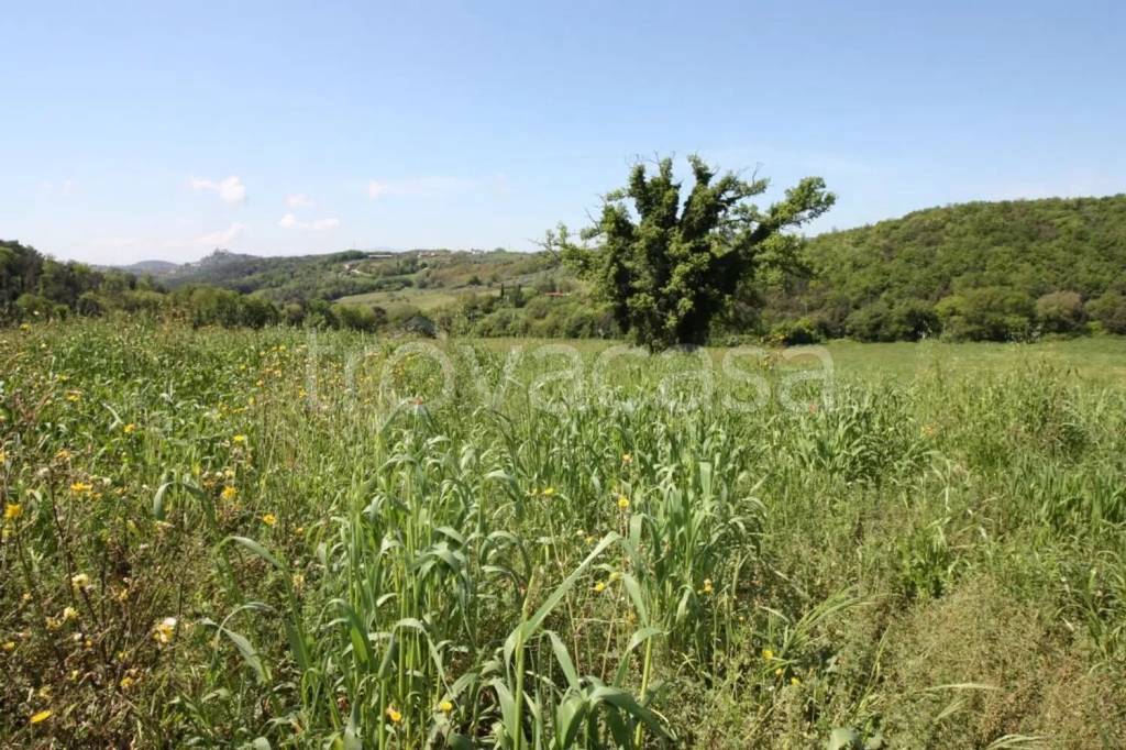 immagine annuncio 7 di 9