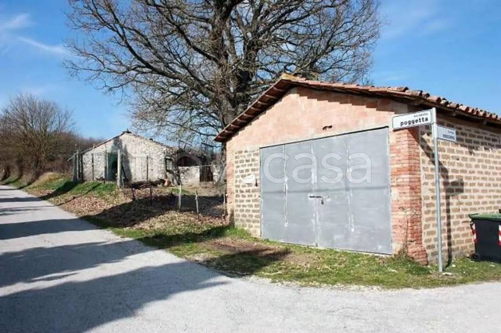 immagine annuncio 3 di 14