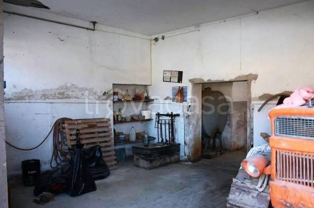 immagine annuncio 11 di 14