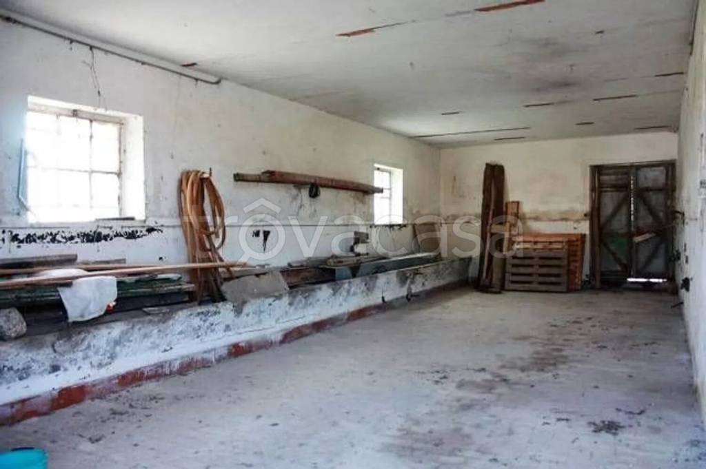 immagine annuncio 12 di 14