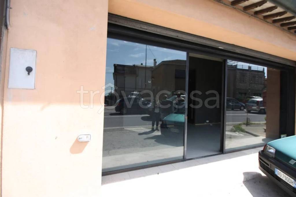 immagine annuncio 8 di 14