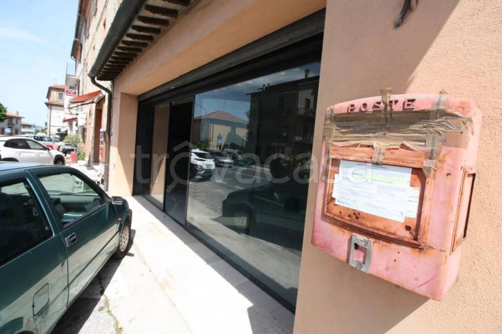 immagine annuncio 9 di 14