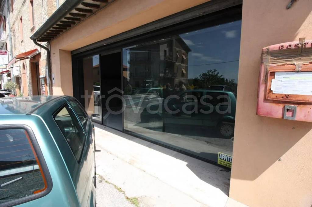 immagine annuncio 10 di 14