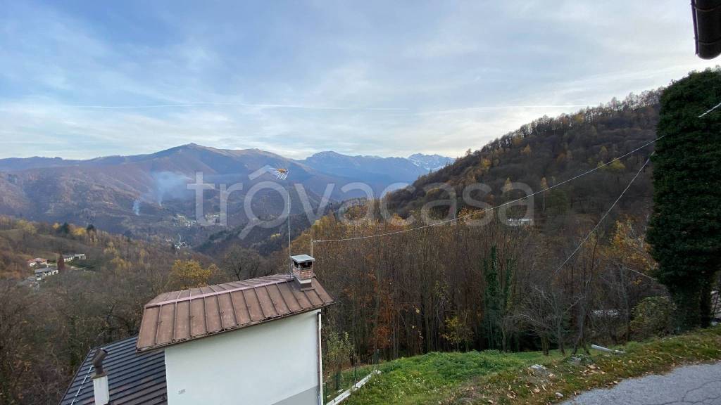 immagine annuncio 11 di 14