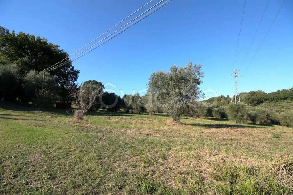 immagine annuncio 6 di 14