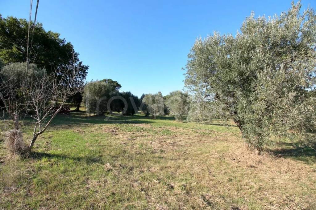 immagine annuncio 7 di 14