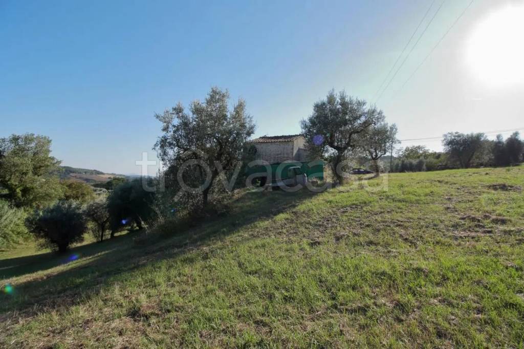 immagine annuncio 9 di 14