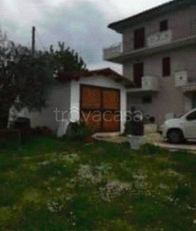 immagine annuncio 2 di 12