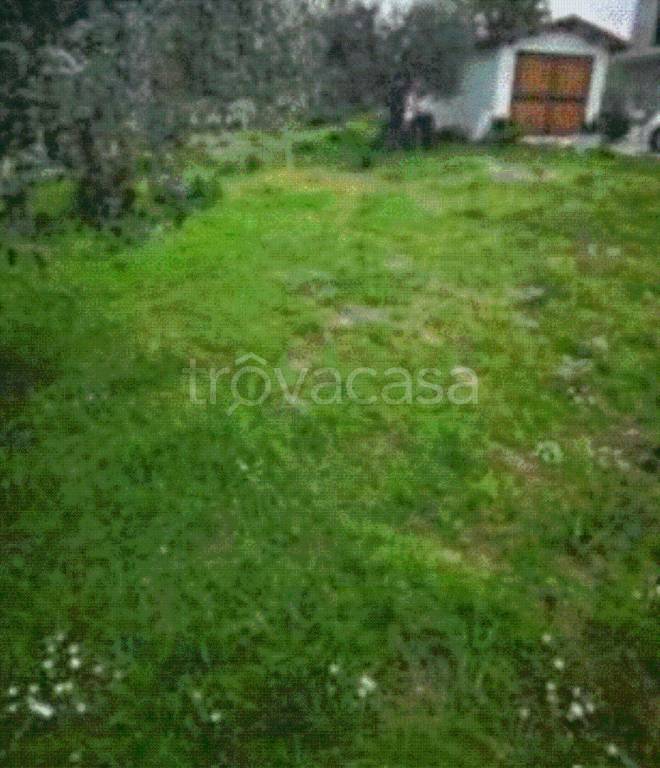 immagine annuncio 3 di 12