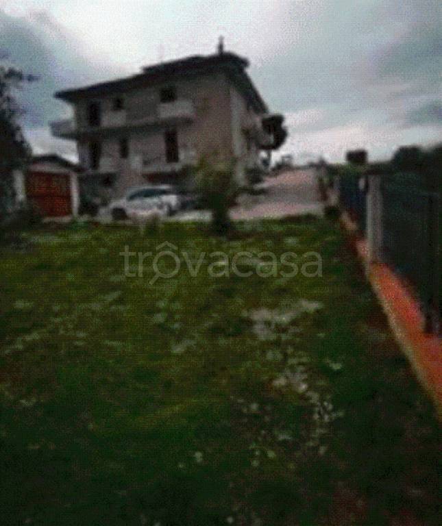 immagine annuncio 5 di 12