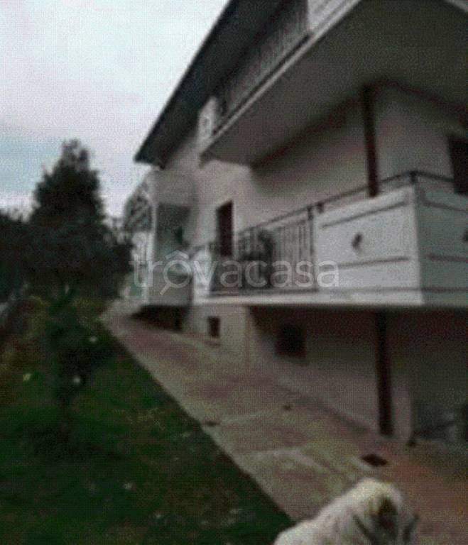 immagine annuncio 6 di 12