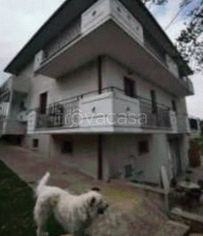 immagine annuncio 7 di 12