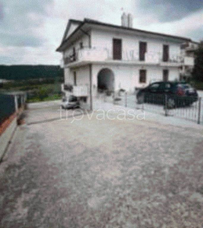 immagine annuncio 8 di 12