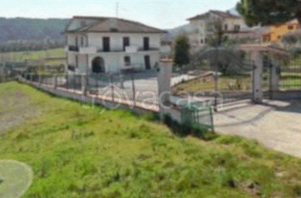 immagine annuncio 11 di 12