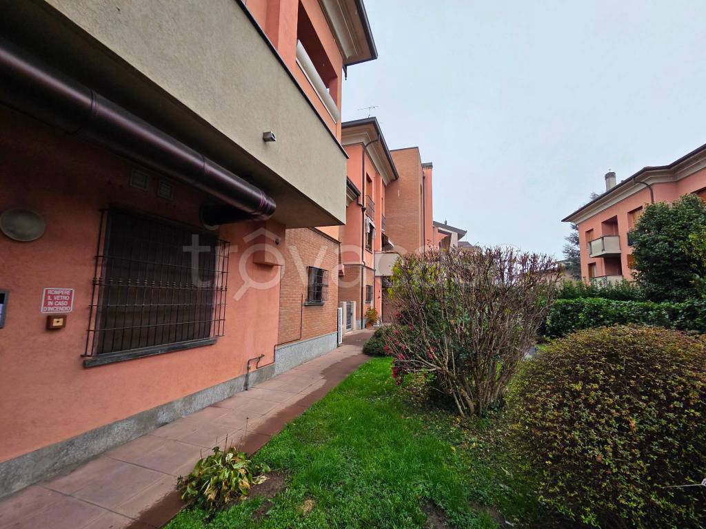 immagine annuncio 2 di 15