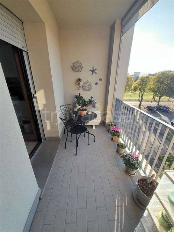 immagine annuncio 4 di 11