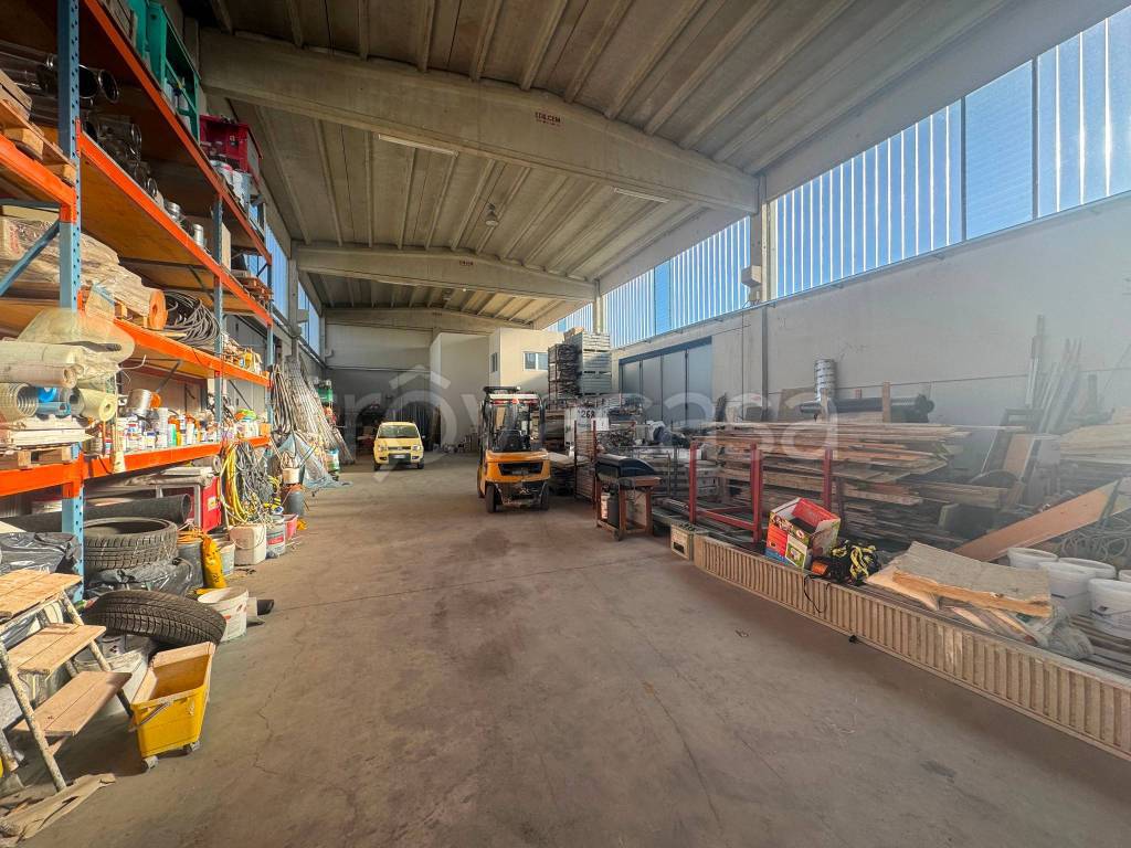 immagine annuncio 2 di 11