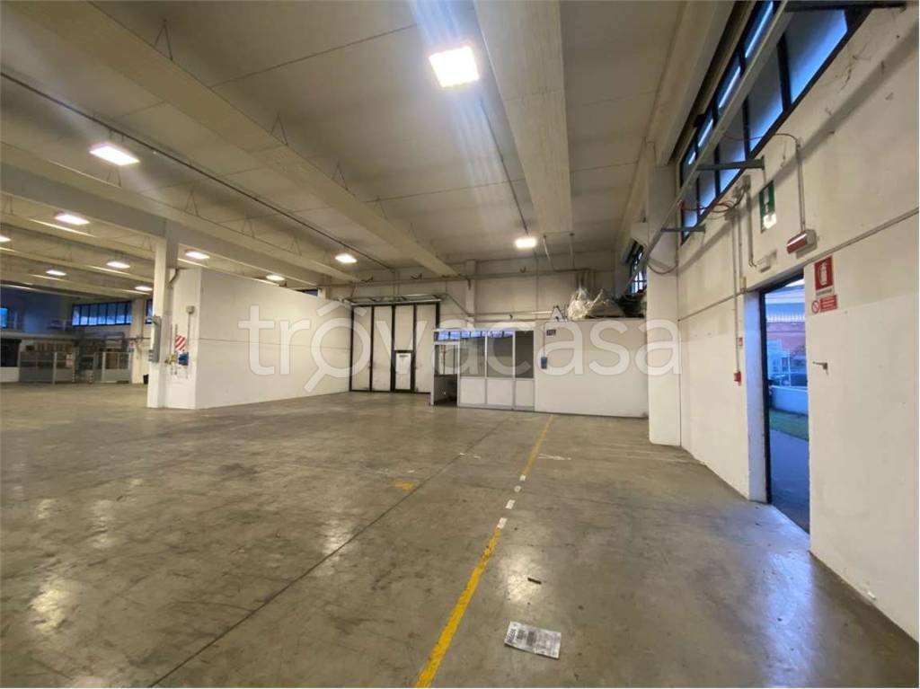 immagine annuncio 2 di 12