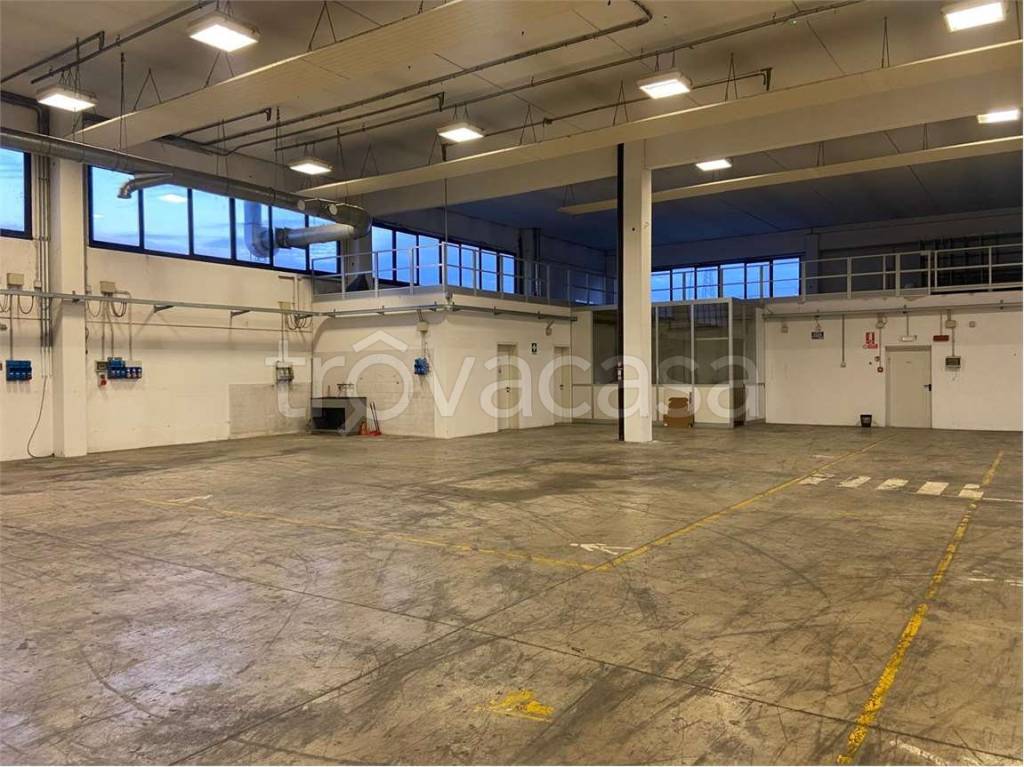 immagine annuncio 7 di 12