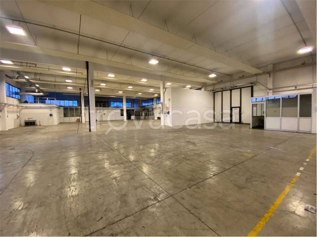 immagine annuncio 9 di 12