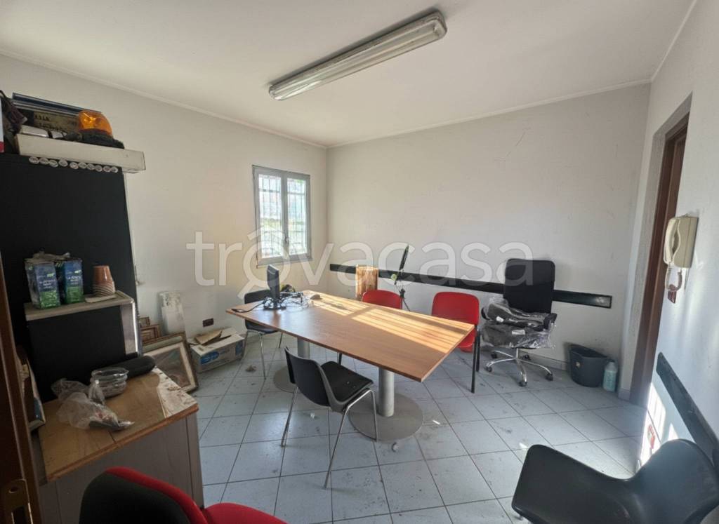 immagine annuncio 8 di 11