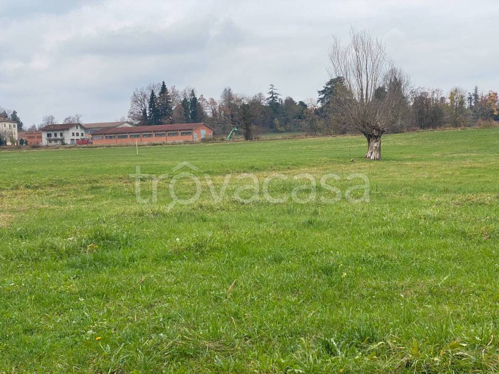 immagine annuncio 3 di 7