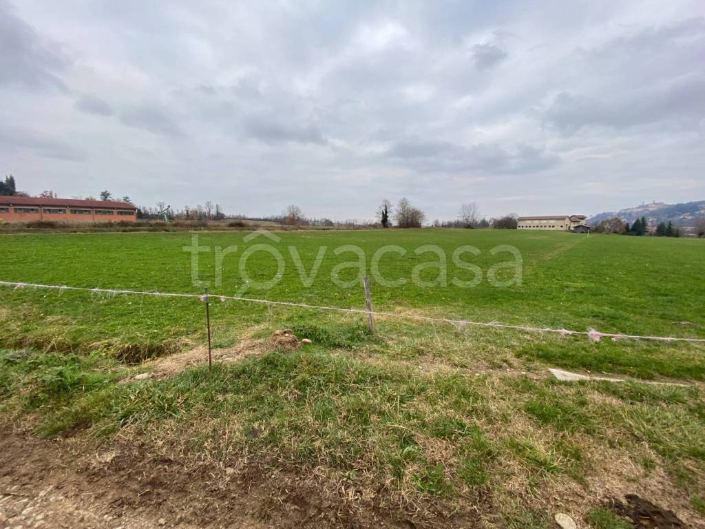 immagine annuncio 5 di 7