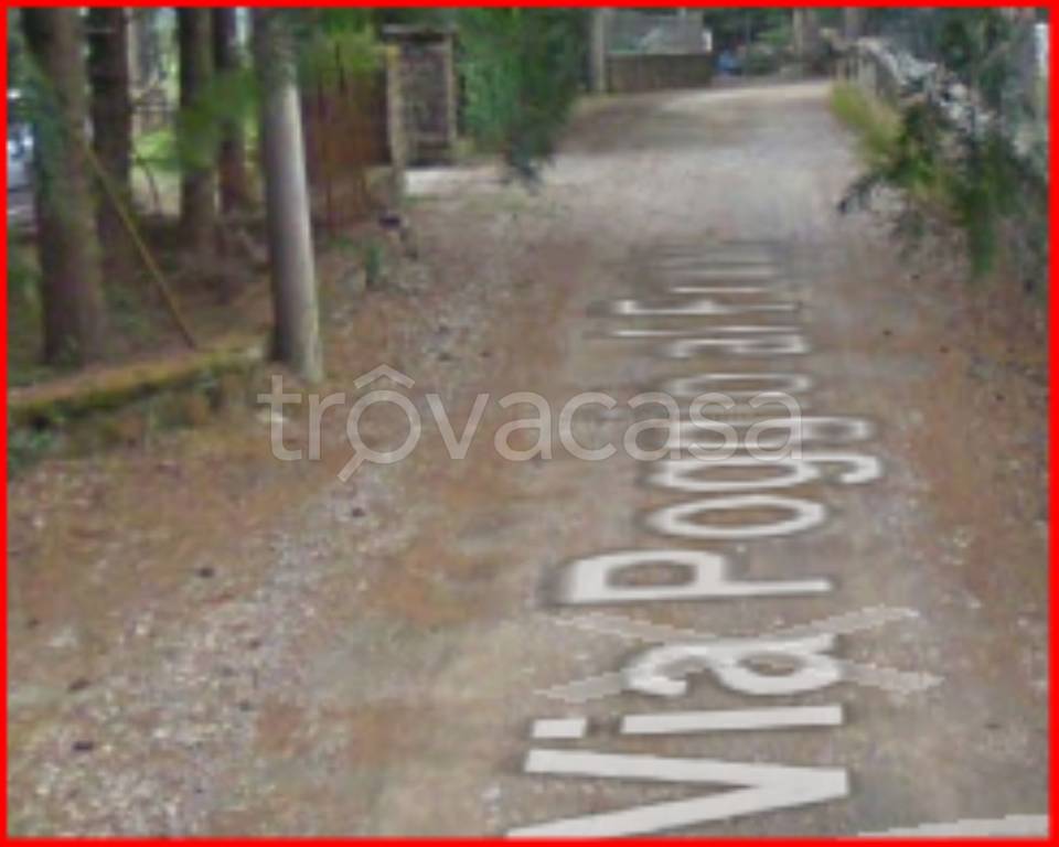 immagine annuncio 9 di 12