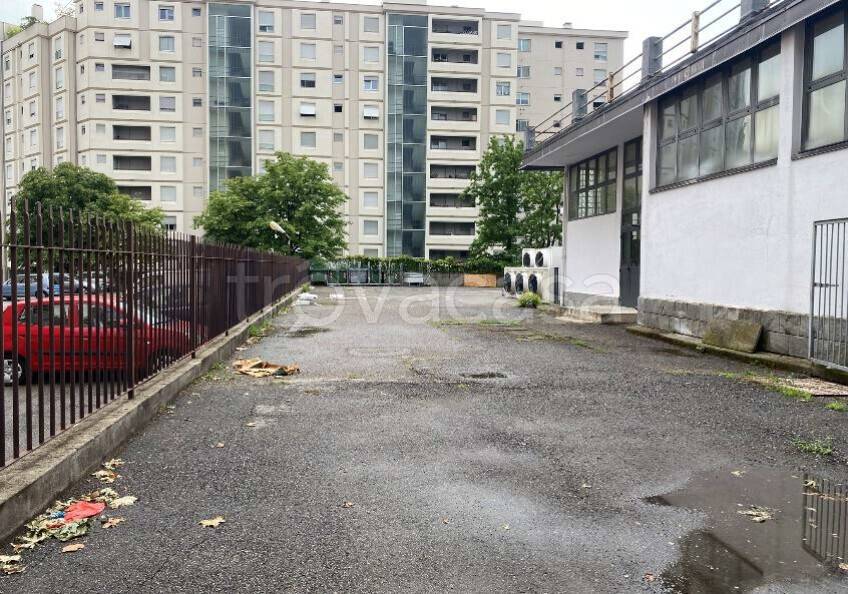 immagine annuncio 12 di 15