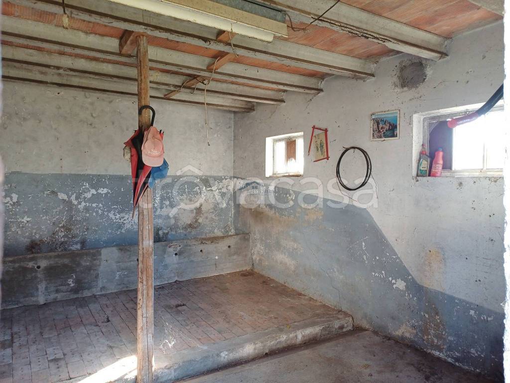 immagine annuncio 3 di 8