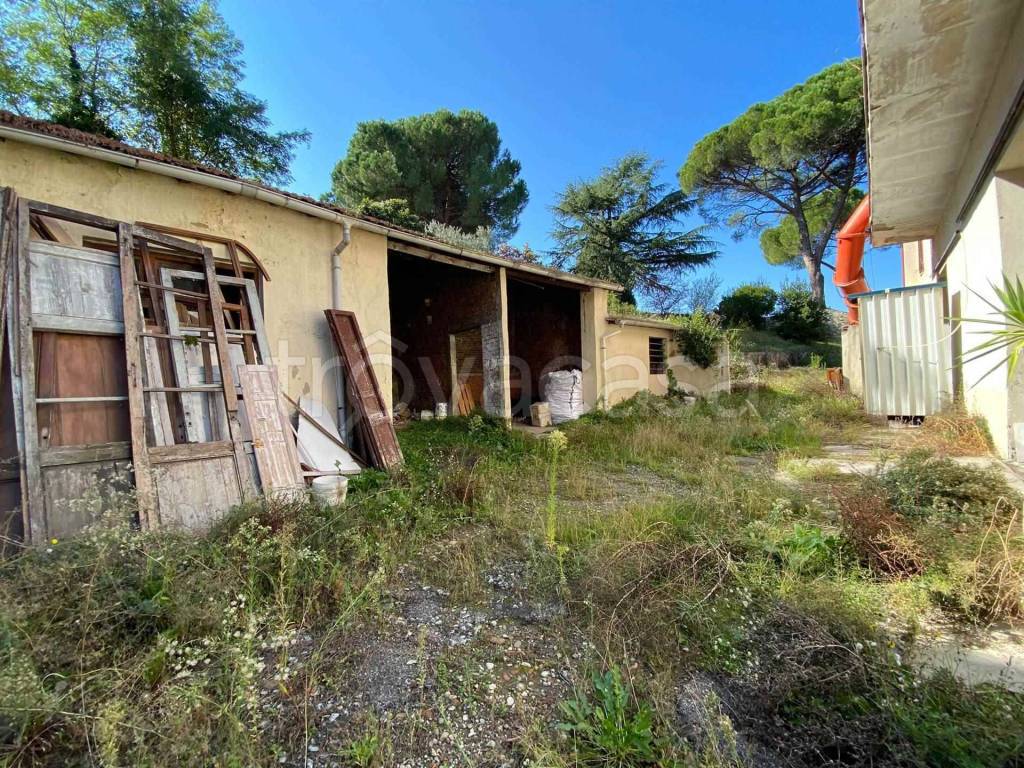 immagine annuncio 7 di 13